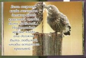 Невестке 3
